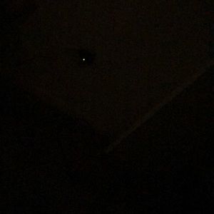 Meet your Posher, Alexus